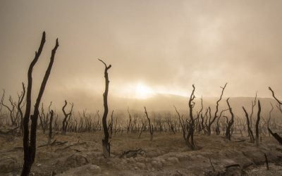 cambio climático